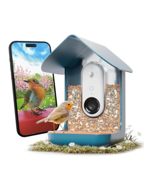Smart Bird Feeder With Camera
