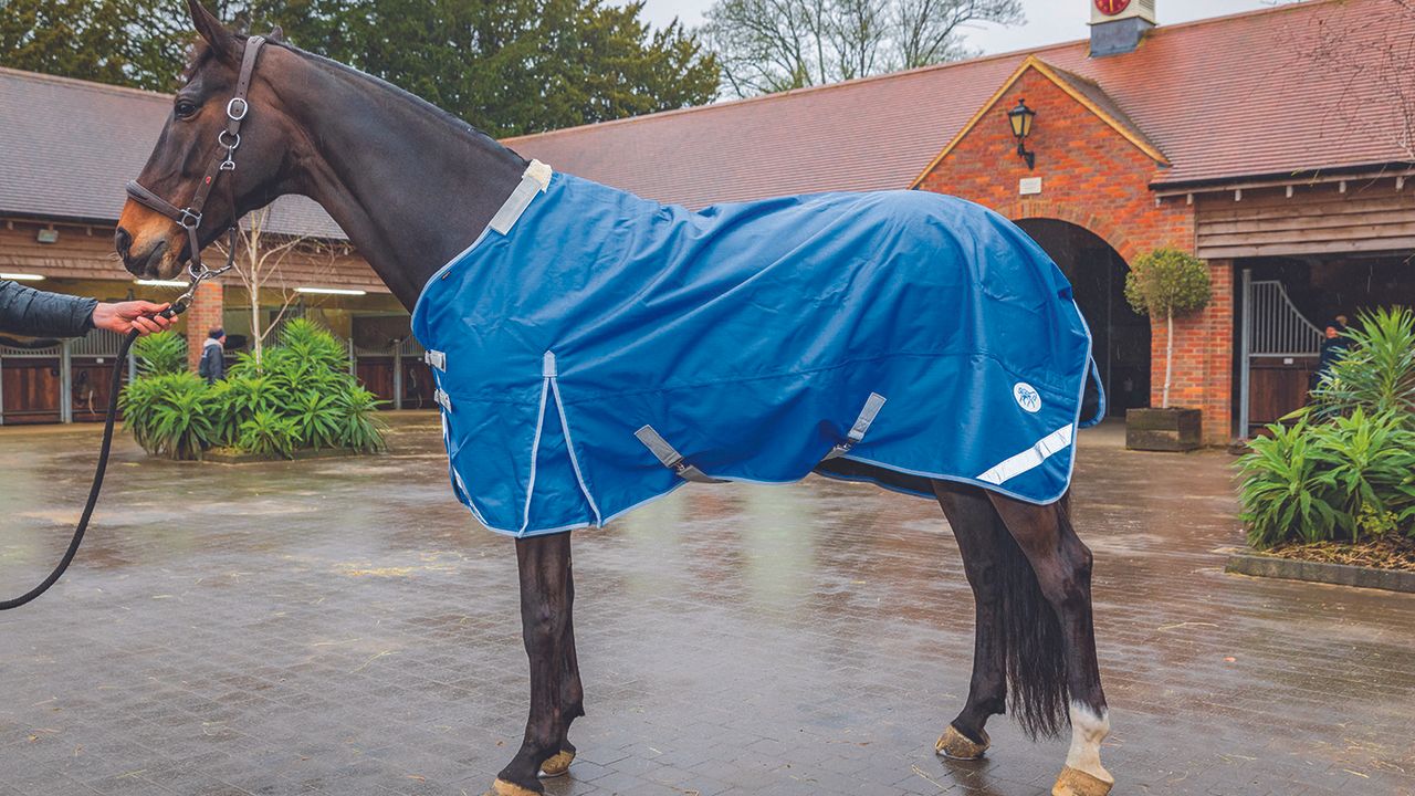 Swish Equestrian lightweight turnout review