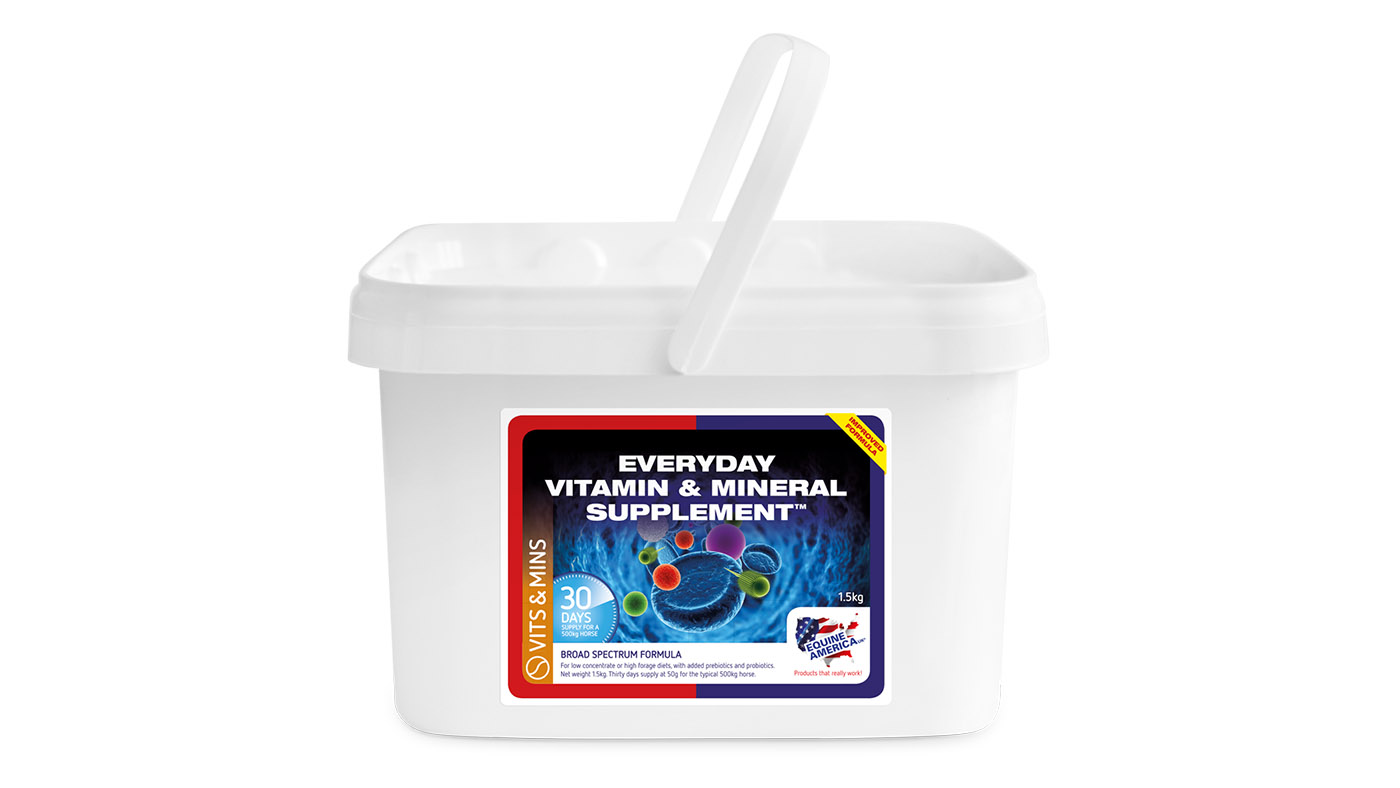 Equine America Everyday vitamin and mineral supplement