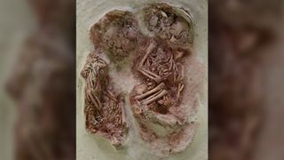 Τα σώματα των διδύμων καλύφθηκαν με την κόκκινη ώχρα.