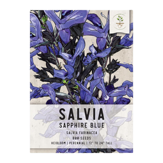 A sachet of salvia seeds