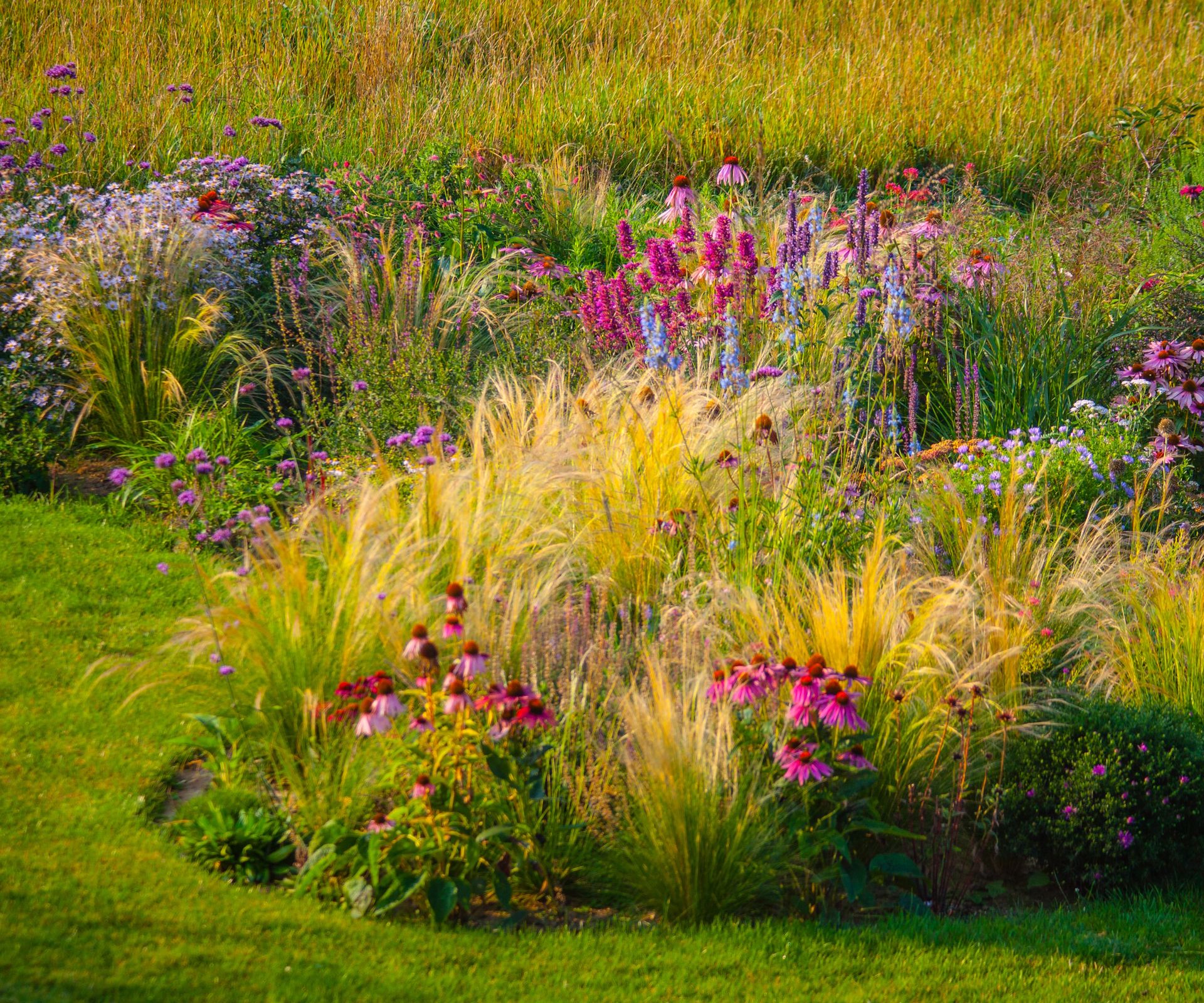 Ornamental garden with mixed borders
