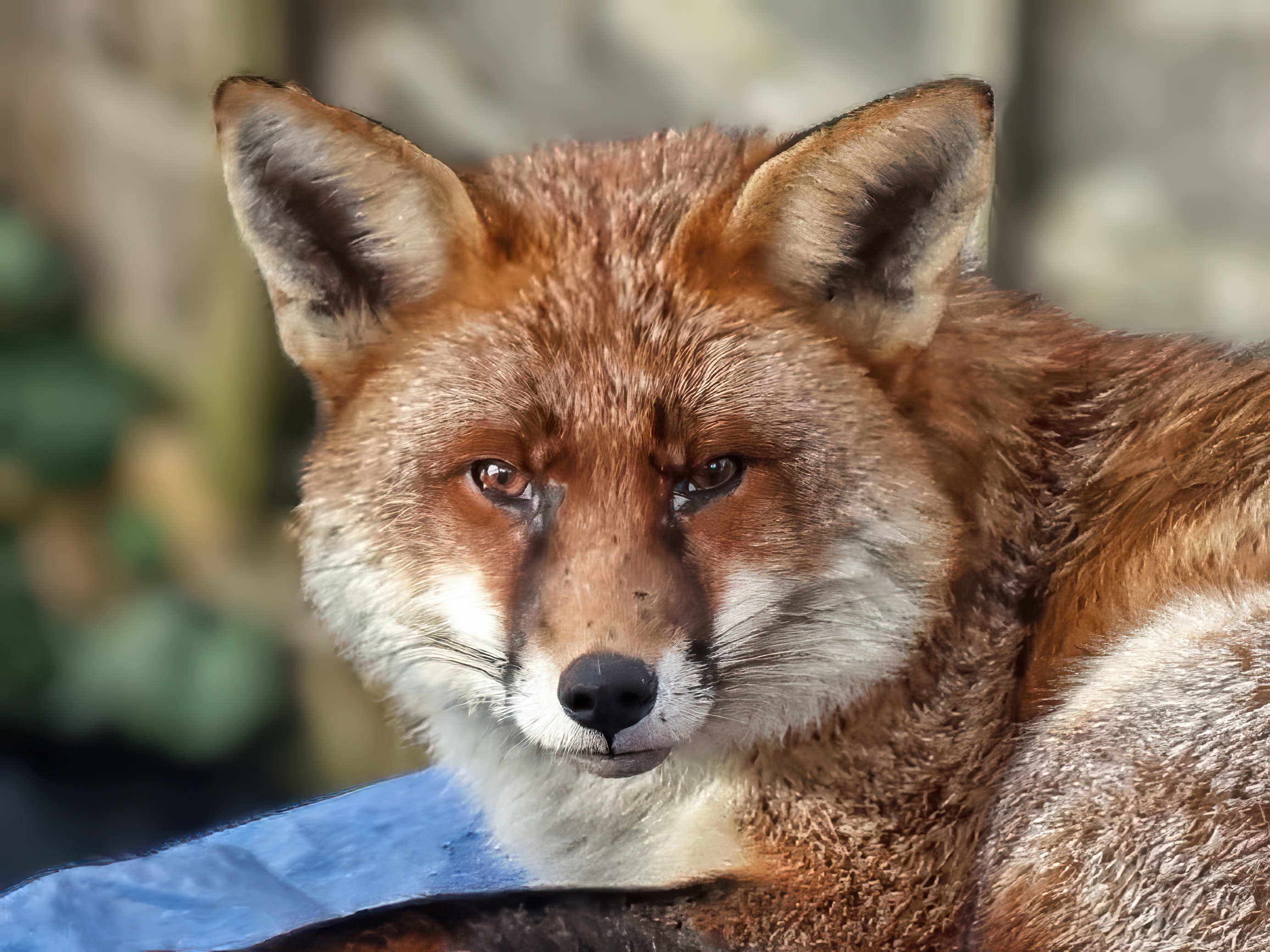 GuruShots - Nature&rsquo;s Masterpiece 2026