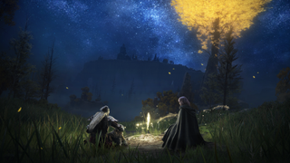 Cinematic shot of player sitting at bonfire under the stars in Elden Ring