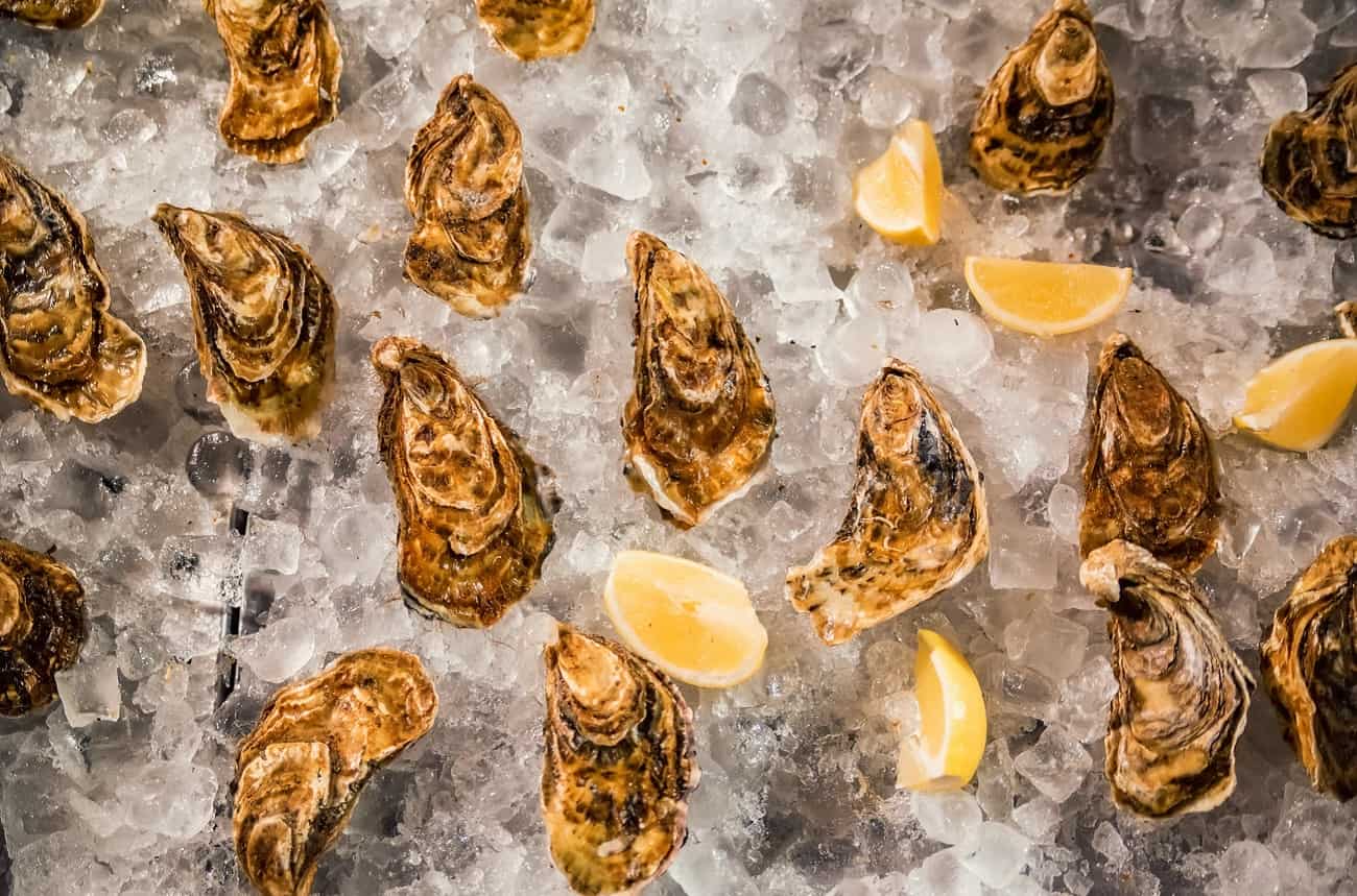 champagne with food, guide