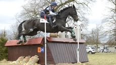 Rock Model trophy: the new trophy will be given in honour of the Italian Olympic horse