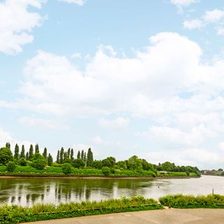 riverside view with trees and sky