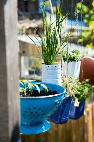 Hanging herb planter idea