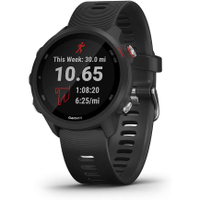 Garmin Forerunner 245 Music | Was: $349.99 , Now: $205.75&nbsp;