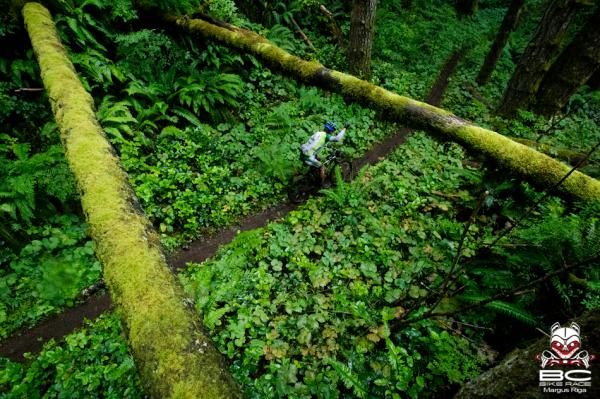 The rain highlighted the fact that coastal British Columbia is a rain forest.