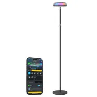 Govee Uplighter Floor Lamp
