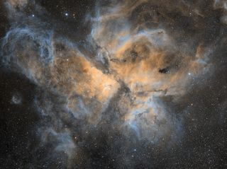 Impending doom in the Great Carina Nebula (NGC 3372). Spanning more than 100 light-years in width, this image centers on a region of very hot, youthful, blue stars. But the brightest star, just to the left of the dark middle lane, is not one of them. That is Eta Carinae, in the last stages of its life. At more than 100 times the mass of our sun, it may soon explode as a supernova. NGC 3372 lies about 7,500 light years from us. Celestron RASA 8 w/ ZWO1600MM camera. Camera cooled (-15c) 25 x 60s Hydrogen Alpha 25 x 60s Oxygen III 25 X 60s Sulphur II Total Integration Time: 75 minutes