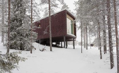 Treehouse in finland