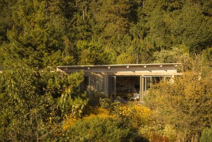 leafy landscape architecture by estudio ome with small buildings featured and yellowish tinge