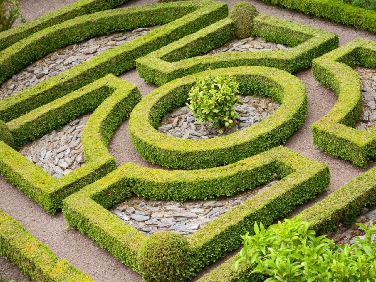 A Parterre Garden Design