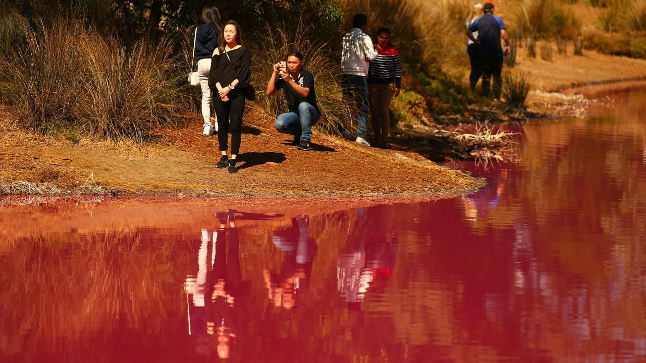 Melbourne pink lake Westgate Park