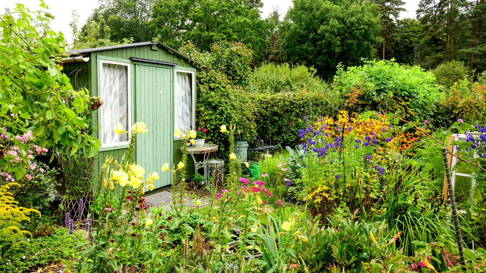 green shed in garden with plants and flowers