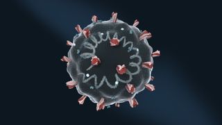 A 3D illustration of a coronavirus with spike proteins on the surface and RNA coiled up inside.