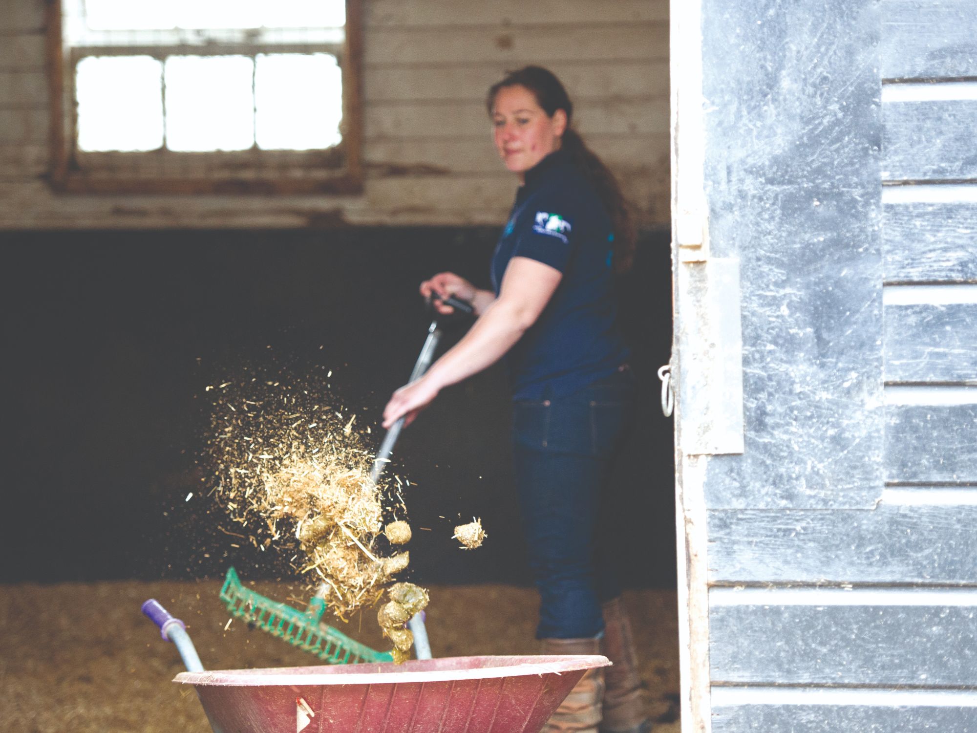 mucking out DSC8574-1 (1)