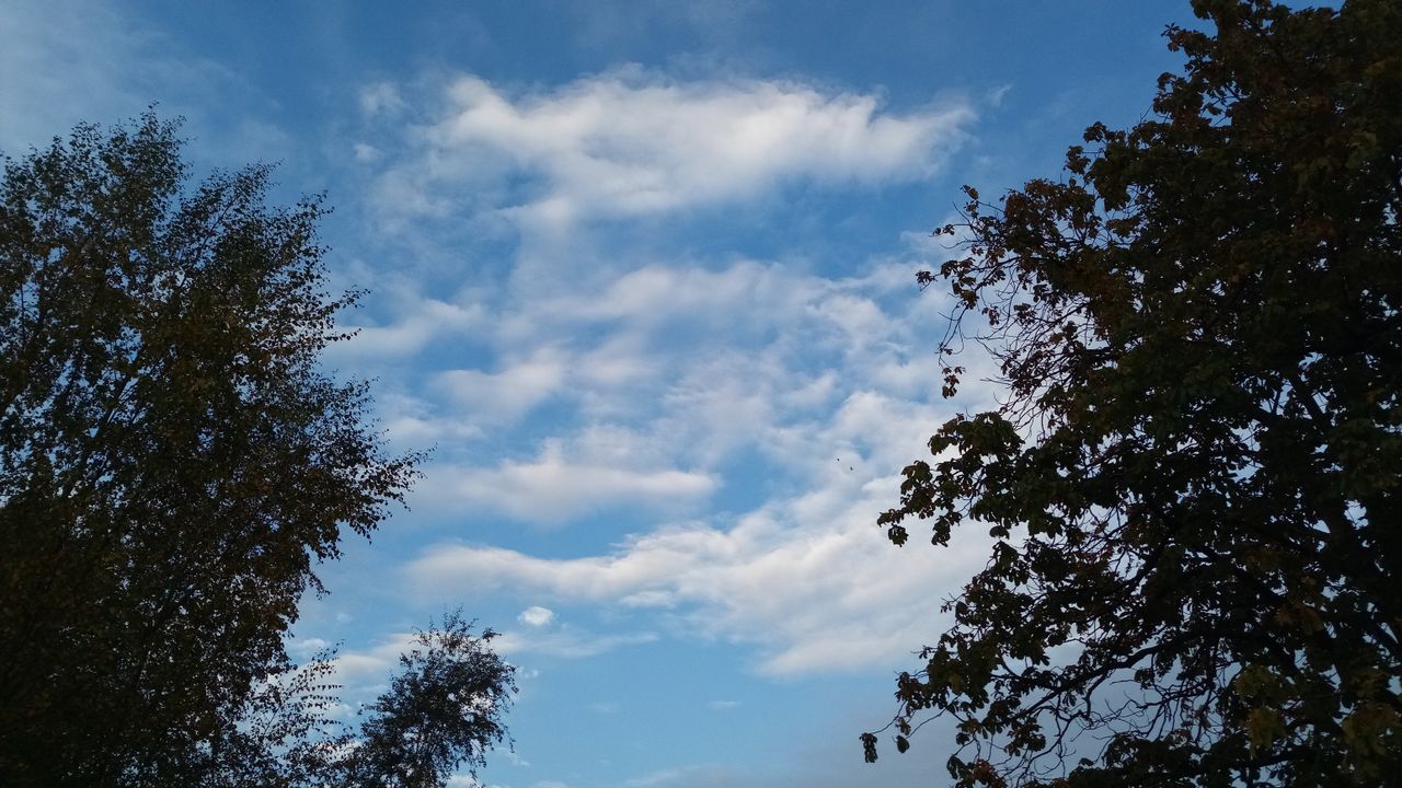 In this image the brightness of the sky has resulted in dark trees on the left and right side.