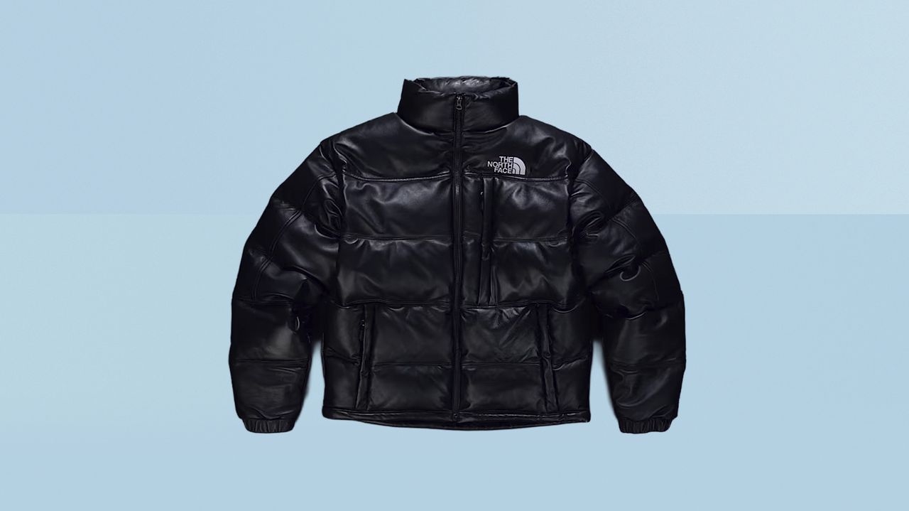 The North Face Leather Pack