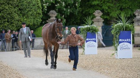 Ros Canter trots up Lordships Graffalo at Badminton Horse Trials 2026.