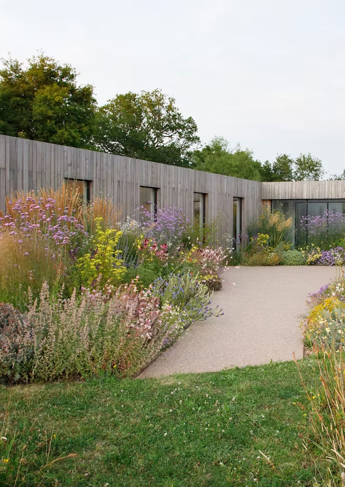 Modern architect-designed timber home with wild pollinator-friendly meadow garden