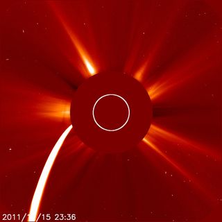 Comet Lovejoy hurtled towards the sun on December 15, 2011, as seen by the SOHO spacecraft.