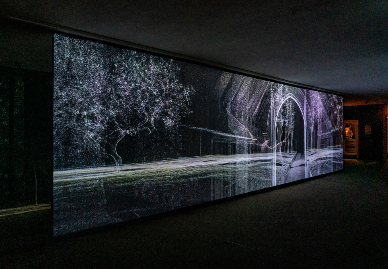 Echolocation Installation view