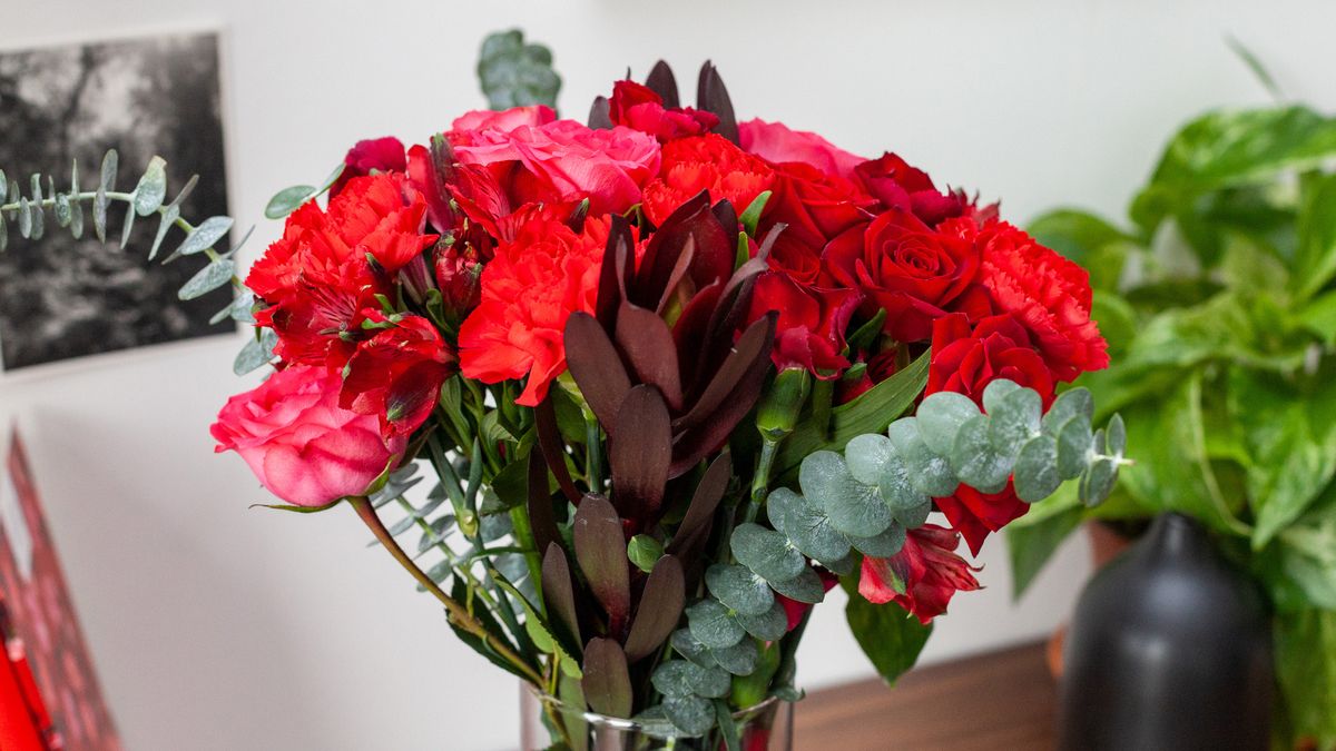 Valentine's Day flowers