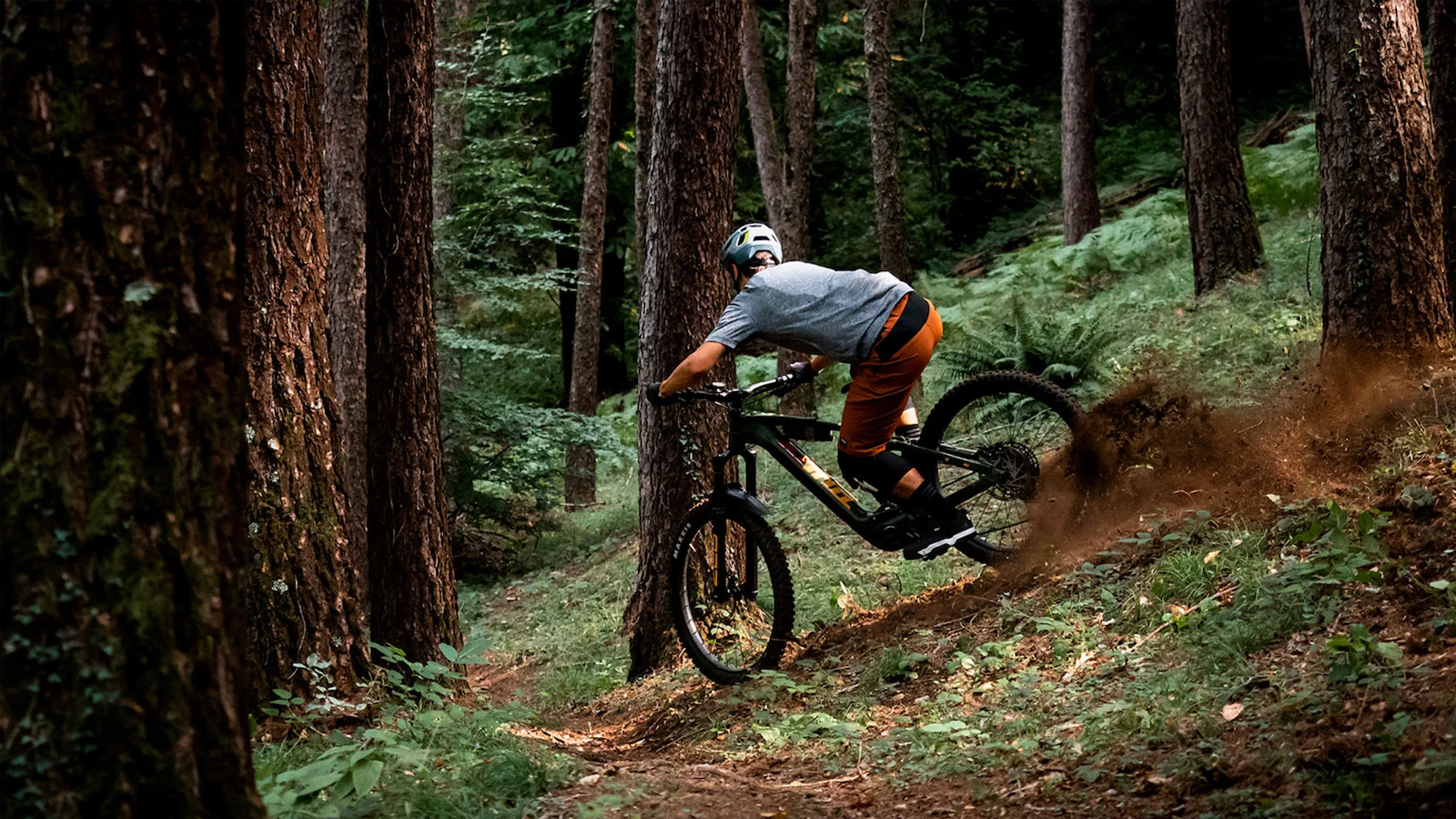Essential Seamless Rib Bike Short - Dark Forest