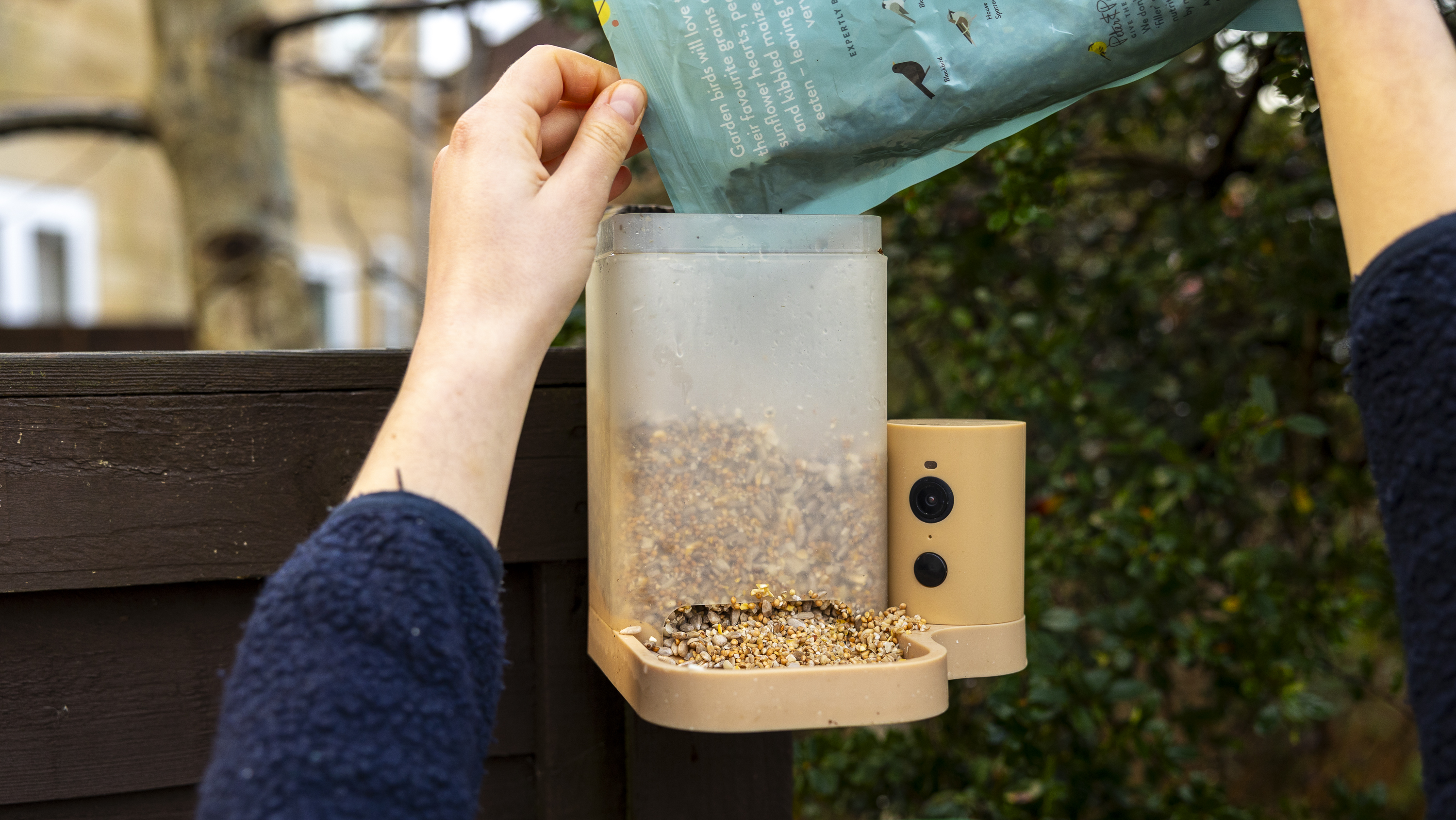 The Birdfy Rookie feeder attached to a brown fence in a UK winter garden