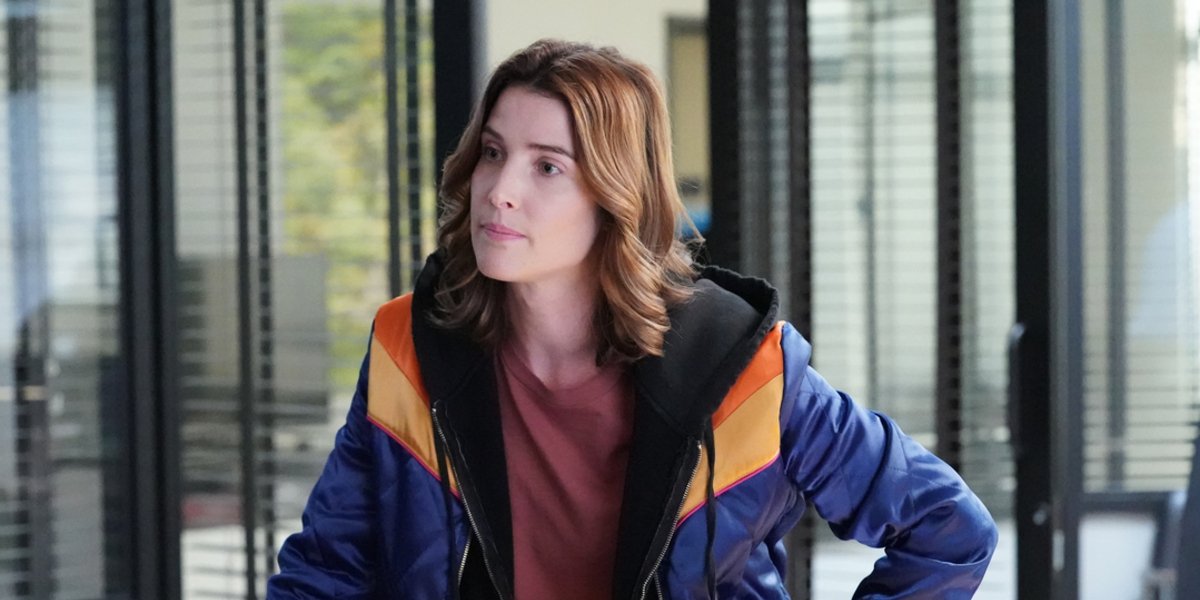 stumptown season 1 abc cobie smulders