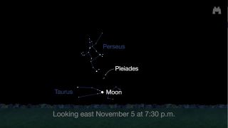Look toward the eastern horizon with binoculars on Sunday evening (Nov. 5) to see the Pleiades star cluster.