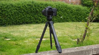 A Peak Design Travel Tripod against a garden backdrop