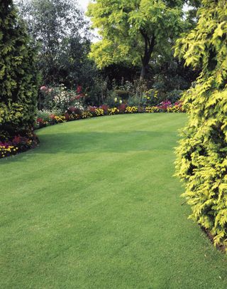 5 jobs for spring: lawn