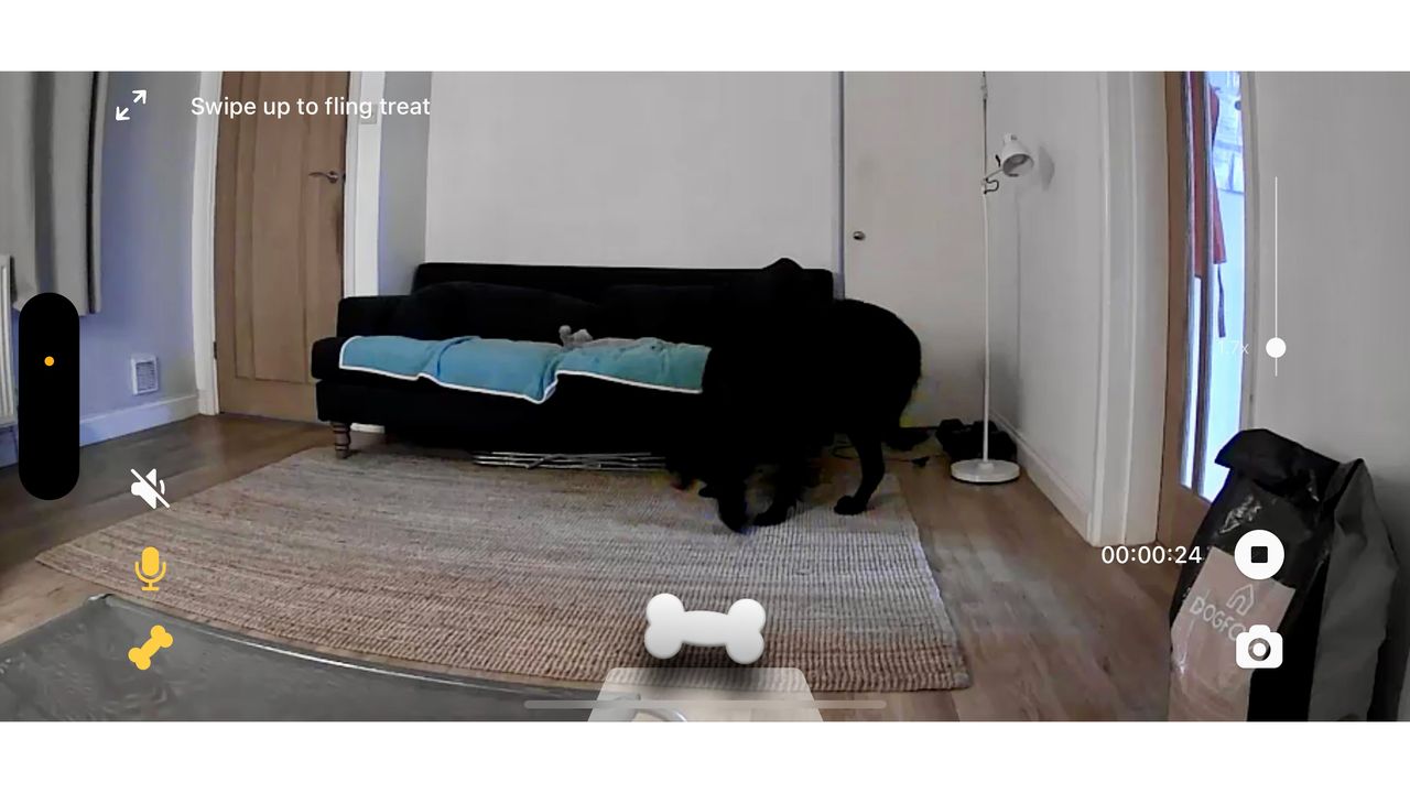 A screenshot of a living room view from the Petcube Bites 2 Lite camera