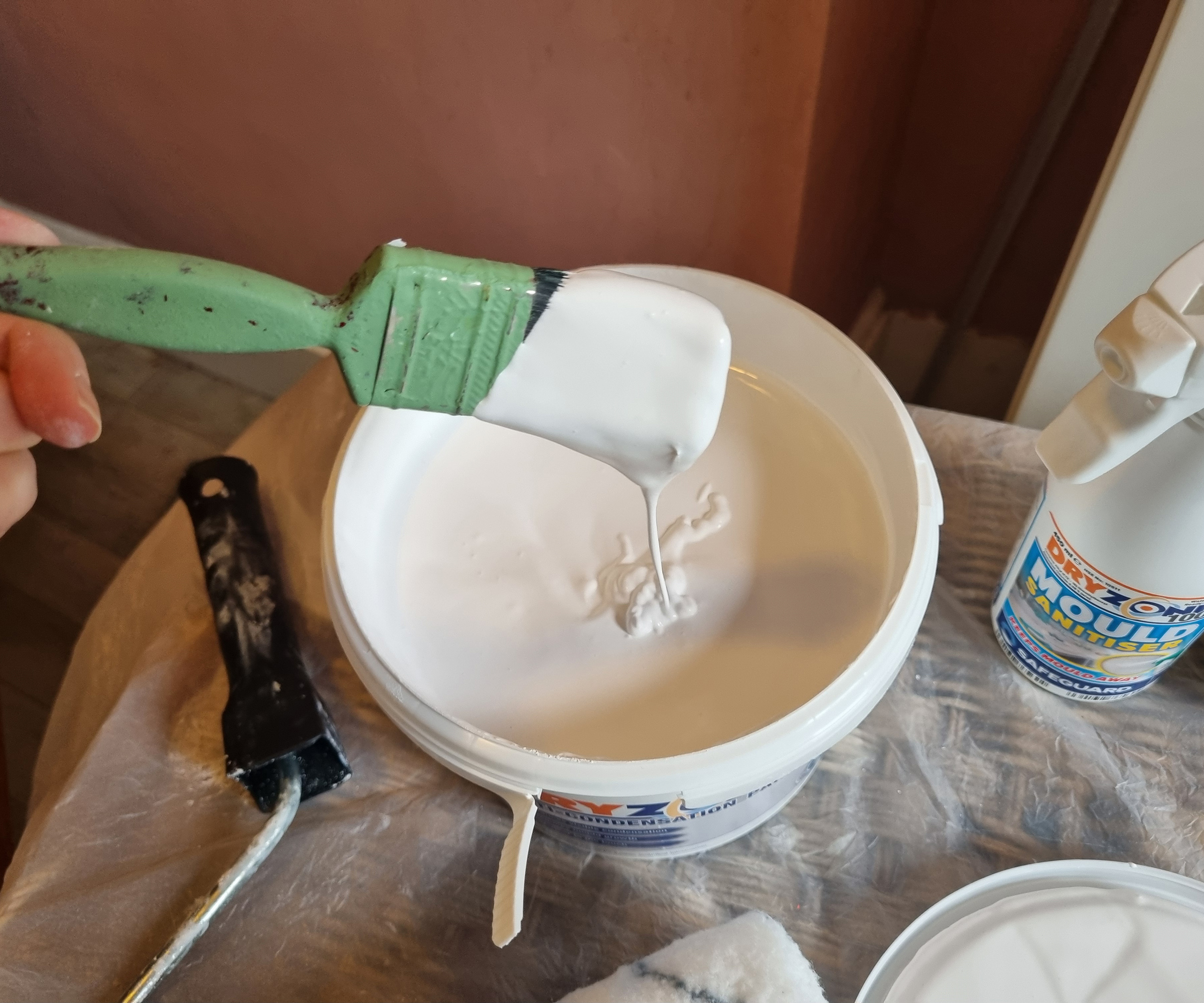 A paintbrush dipped into a tub of white anti-condensation paint