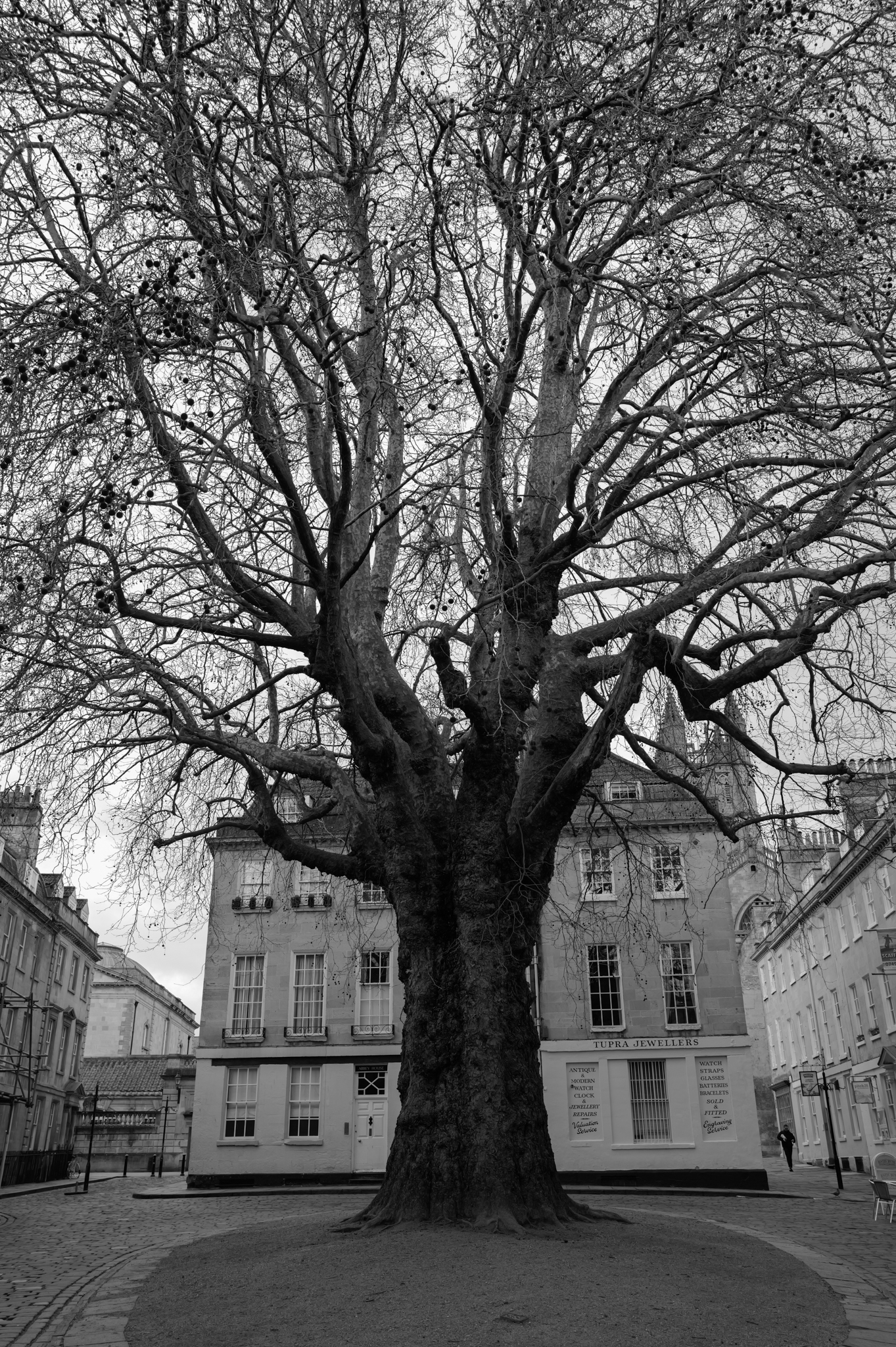 A photo taken on a Leica Q3 Monochrom black-and-white camera