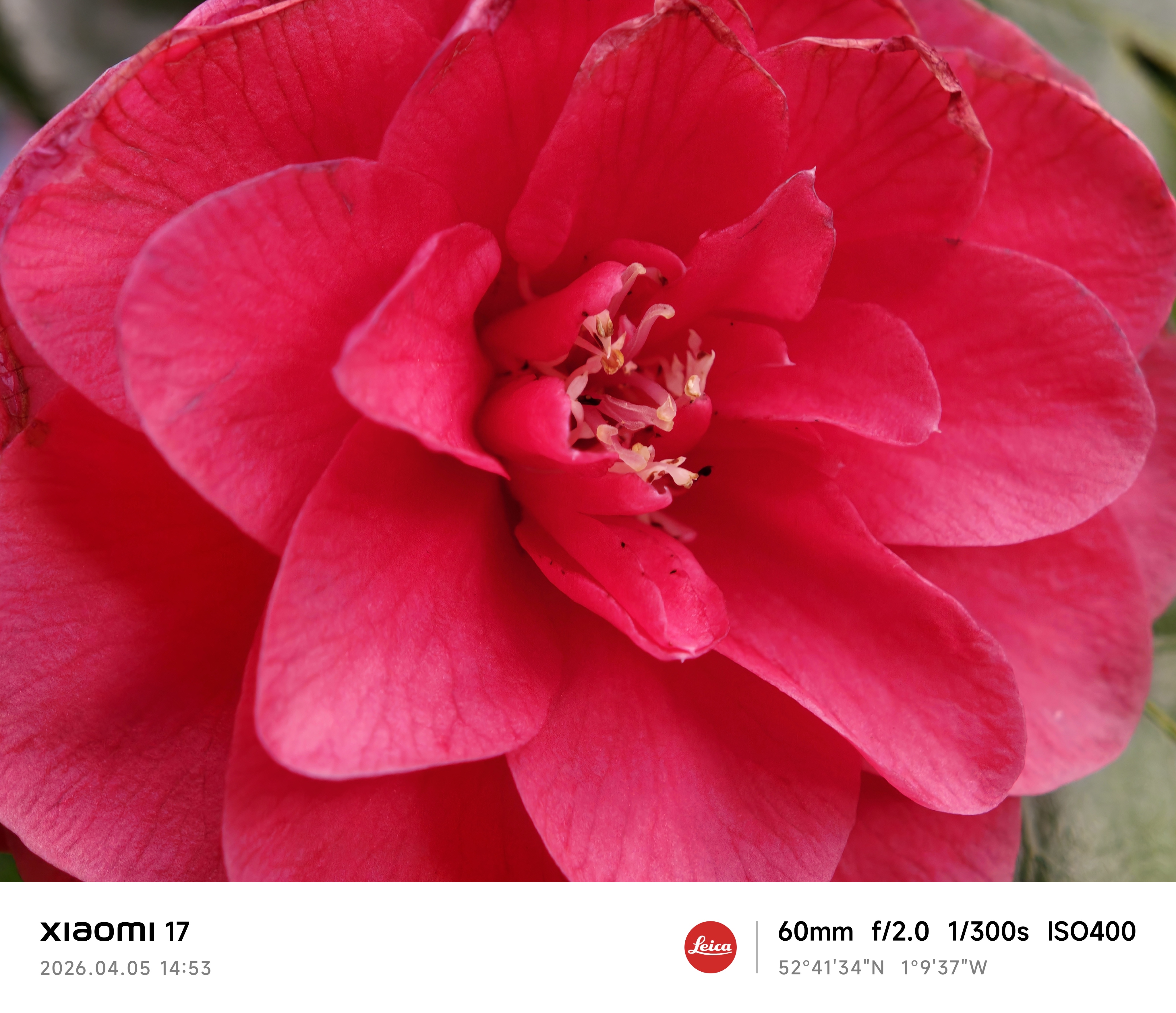 Xiaomi 17 sample photo