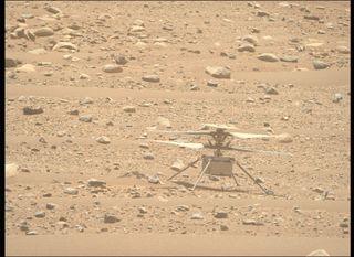 Natural-color view of NASA's Ingenuity Mars helicopter, captured by the agency's Perseverance rover using its Mastcam-Z instrument on April 16, 2023.