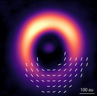 A purple glowing ring with white lines indicating polarization.