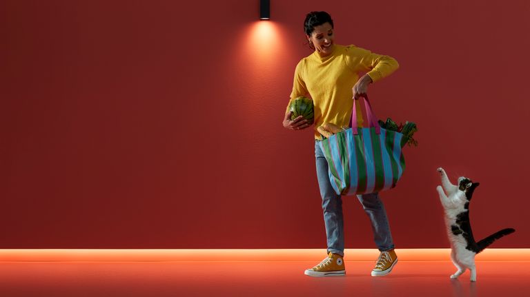 Philips Hue システムにサードパーティのスマート電球を追加する方法