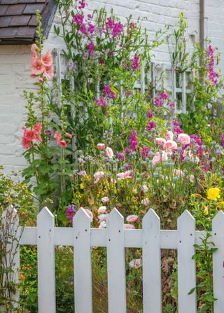 Flowers growing up a trellis outside a thatched cottage