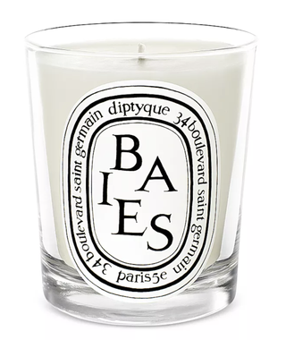 diptyque baies candle