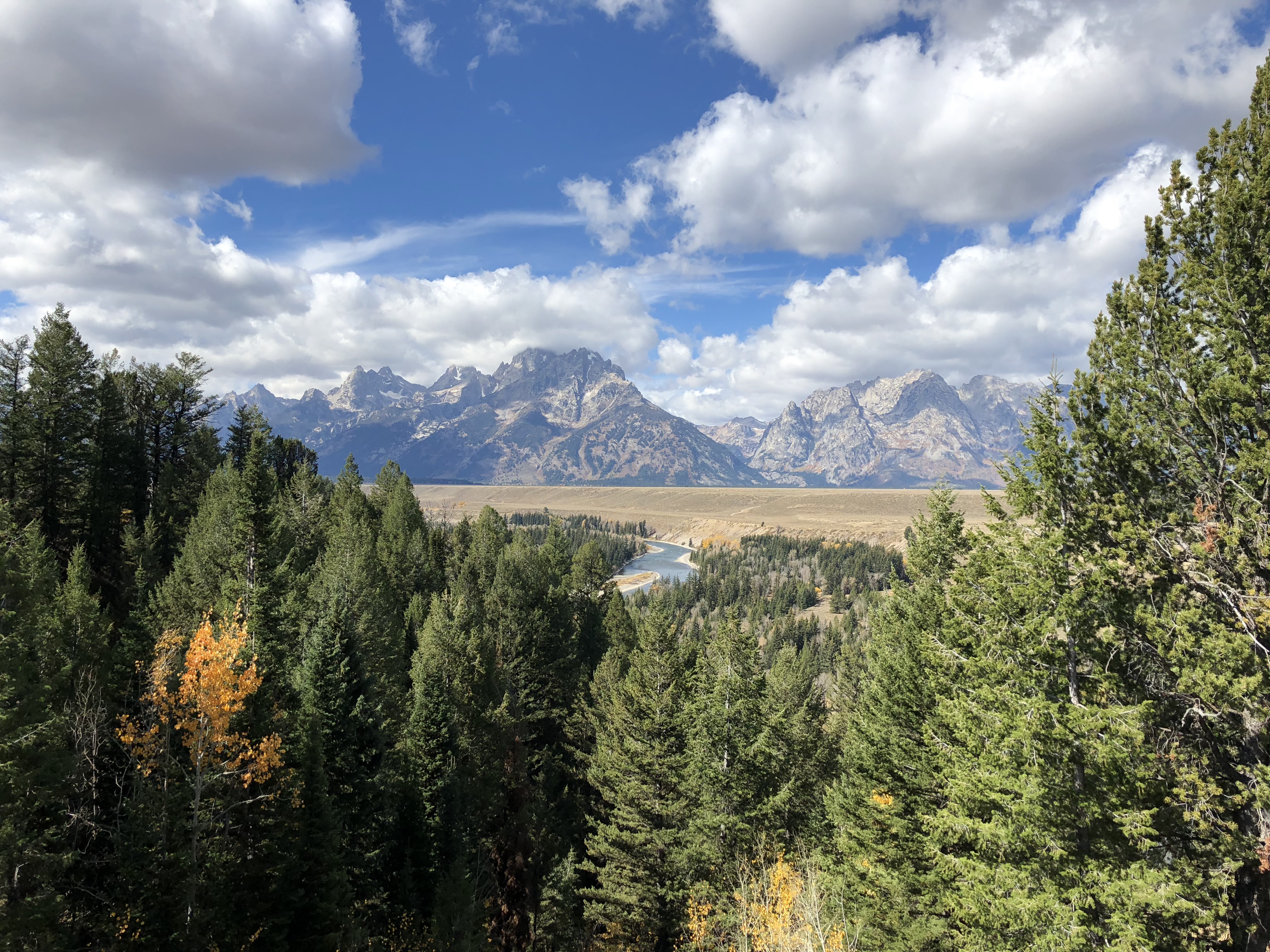 GuruShots - March 2026