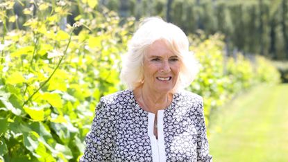 Duchess Camilla of Cornwall holds a vine leaf during a visit to Llanerch Vineyard on July 07, 2021 