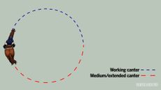 Web-diagrams9.jpg