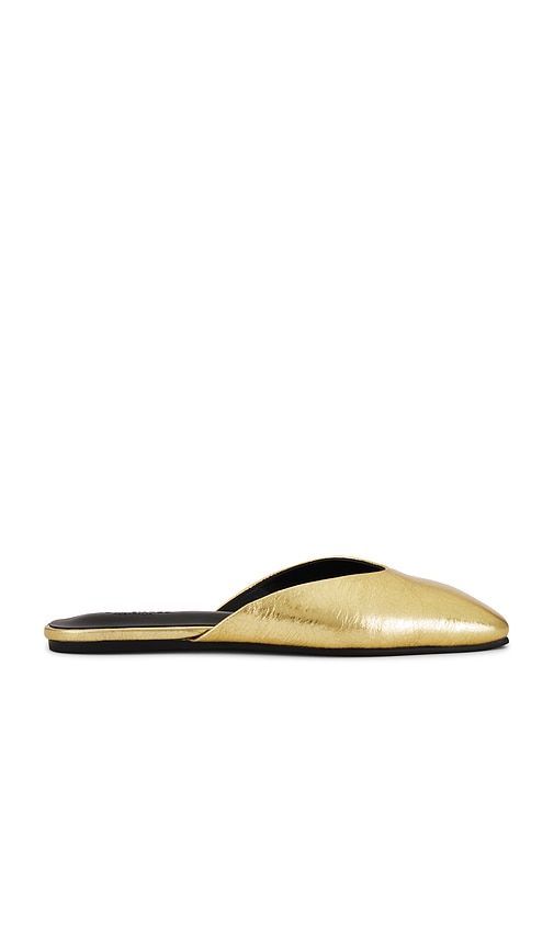 Harry Flat
