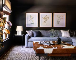A living room with black painted walls, grey sectional sofa, brown cow hide footstool and artwork on the wall
